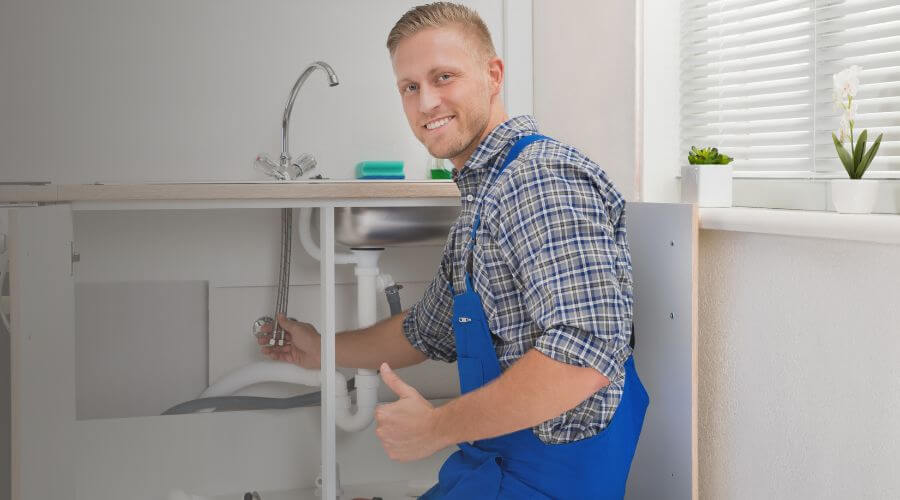 Holiday Plumbing Service in Wolf Lake, IL